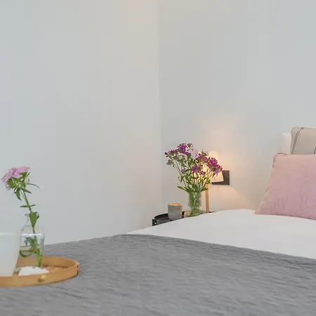 Piccola Lotus By Rent *