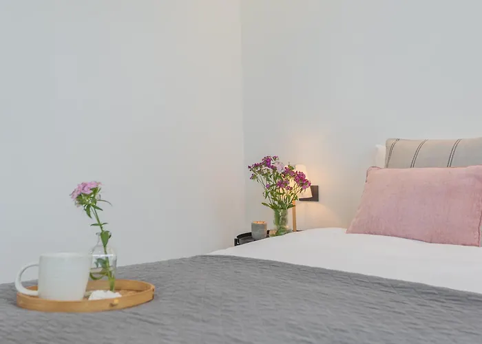 Piccola Lotus By Rent *